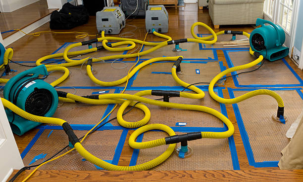 Professional Emergency Water Removal technician working in Thornville, OH